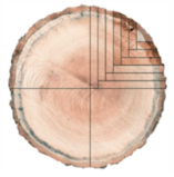 <p>A method of cutting wood that produces a <u>unique linear or vertical grain pattern with no flecking</u>.</p><p>Annual growth rings are typically between <u>30 and 60 degrees.</u></p><p><u>flooring are aesthetically more appealing</u> due to minimal grain activity.</p><p>Results in more dimensionally stable flooring compared to other cuts.</p>
