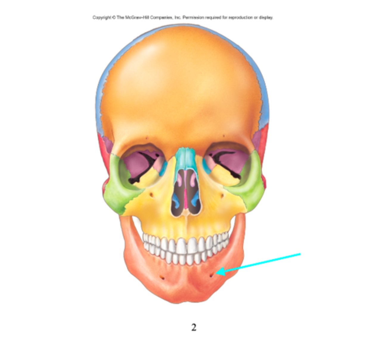 <p>What feature is the blue arrow pointing at?</p>
