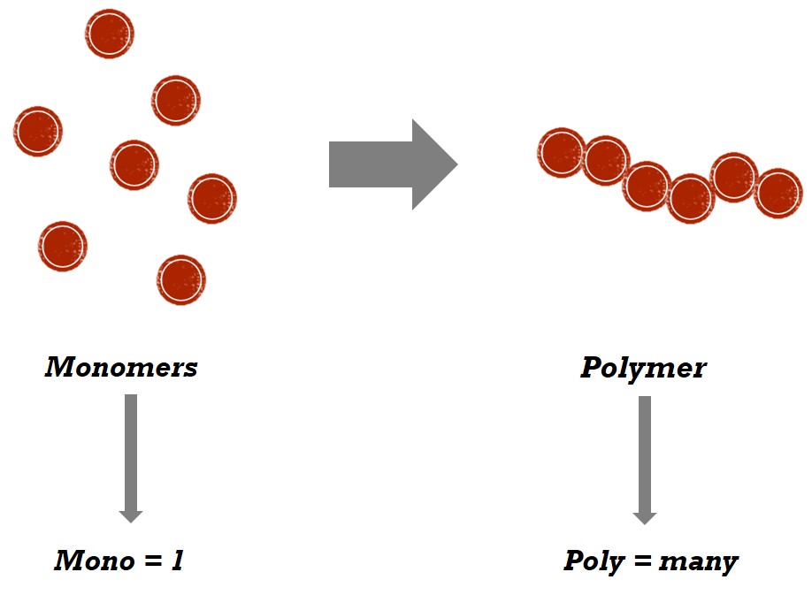 monomers and polymers