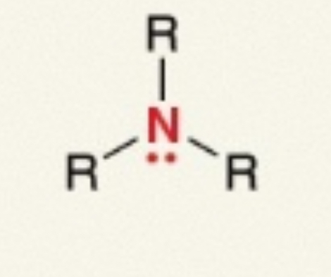 <p><span>R–NR₂</span></p>