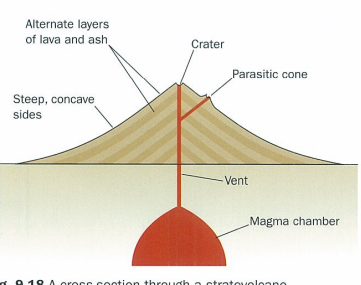 <ul><li><p>as lavais intermediate between acidic and basic, its more viscous than that of a shield volcano, resulting in steeper sides, which usually steepen towards summit giving a concave slope overeall</p></li><li><p>base is narrower than that of shield volcano</p></li><li><p>parasitic cones form on sides of volcanoes when main vent becomes blocked and magma finds other way out</p></li></ul><p></p>