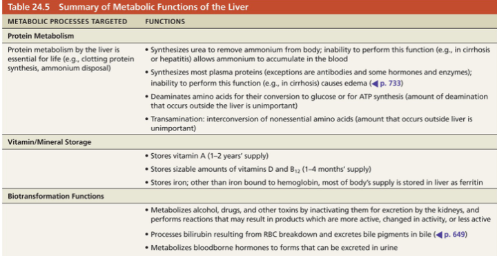 <ul><li><p>Biotransformation: ability to take a compound and convert it to something else</p><ul><li><p>EX: bilirubin broken down from RBCs is conjugated by liver into something that can be excreted</p></li></ul></li></ul><p></p>
