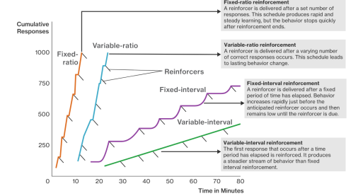 <p>A reinforcer is delivered after a set number of responses. This schedule produces rapid and steady learning, but the behavior stops quickly after reinforcement ends. </p><p>Ex; everytime rat pulls level exactly 5 times, it gets food.</p>