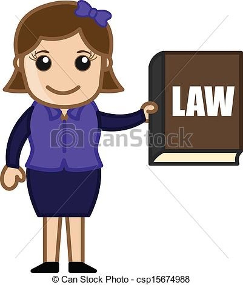 <p>lawyer</p>