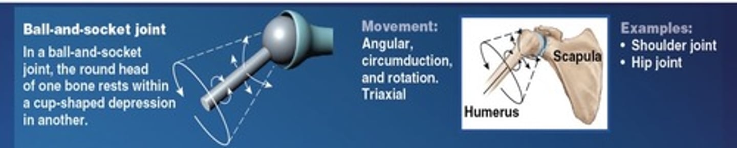 <p>Round head in a cup-shaped depression - Triaxial</p>