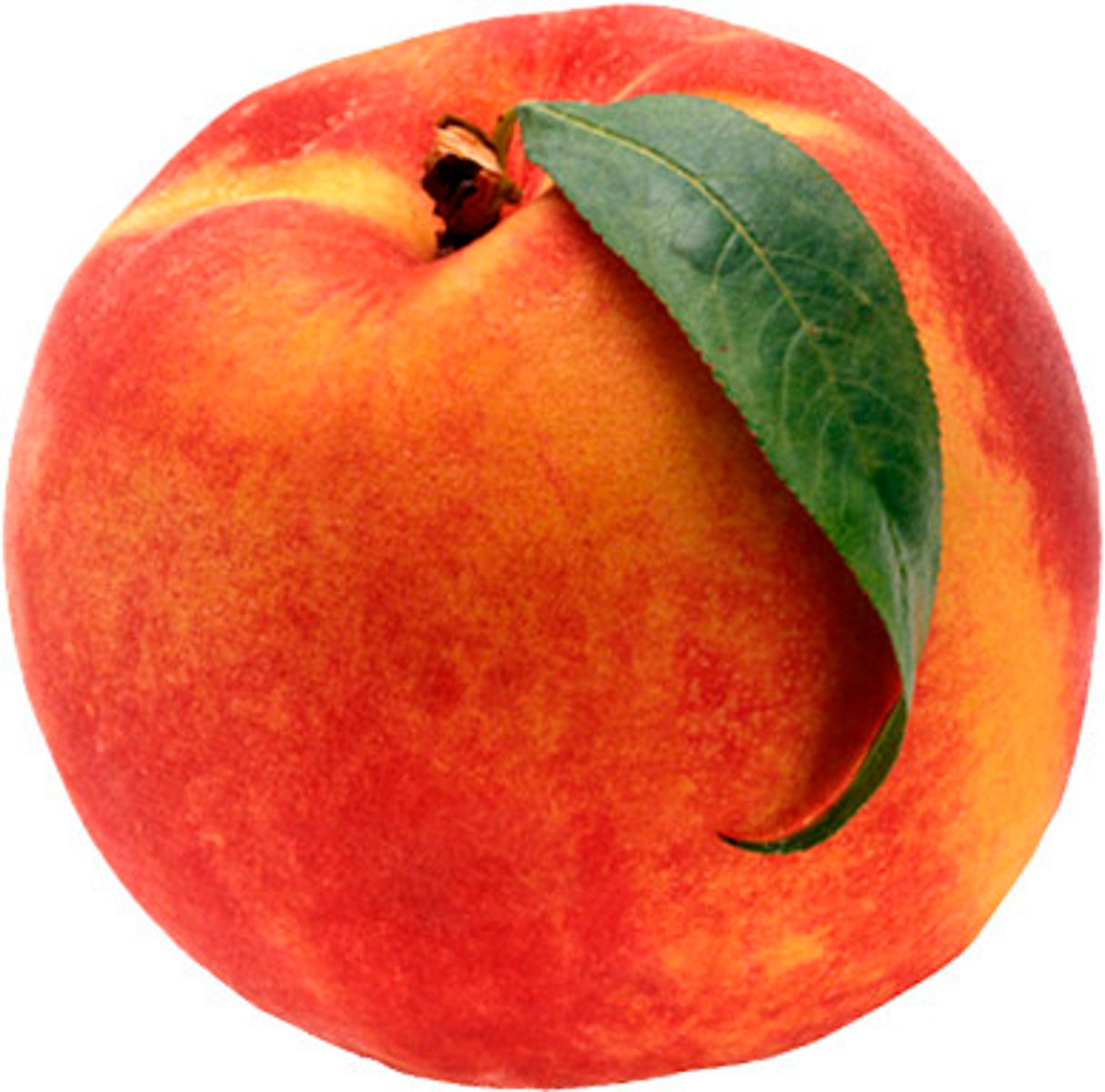 <p>a peach</p>