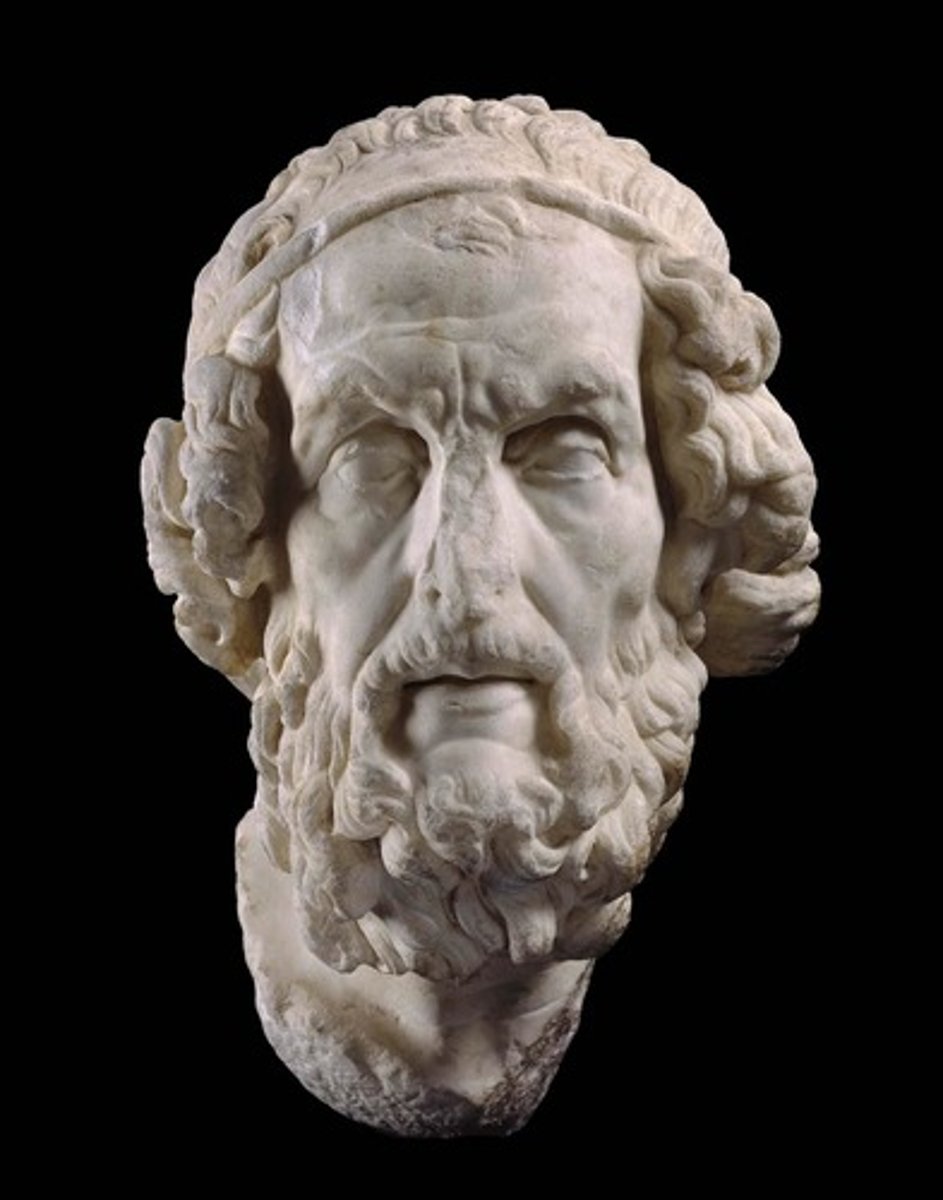 <p>- <span class="bgP">2nd cent bce (high/late hellenistic pd)</span></p><p>- <span class="bgP">from rome (Italy)</span></p><p>- depicts Homer, blind poet who created the Iliad and the Odyssey</p><p>- statue is blind, lack of pupils</p><p>- headband and full beard = important figure</p>