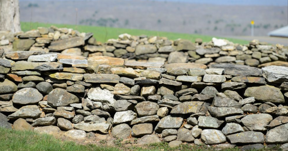 <p>What are interest groups?</p>