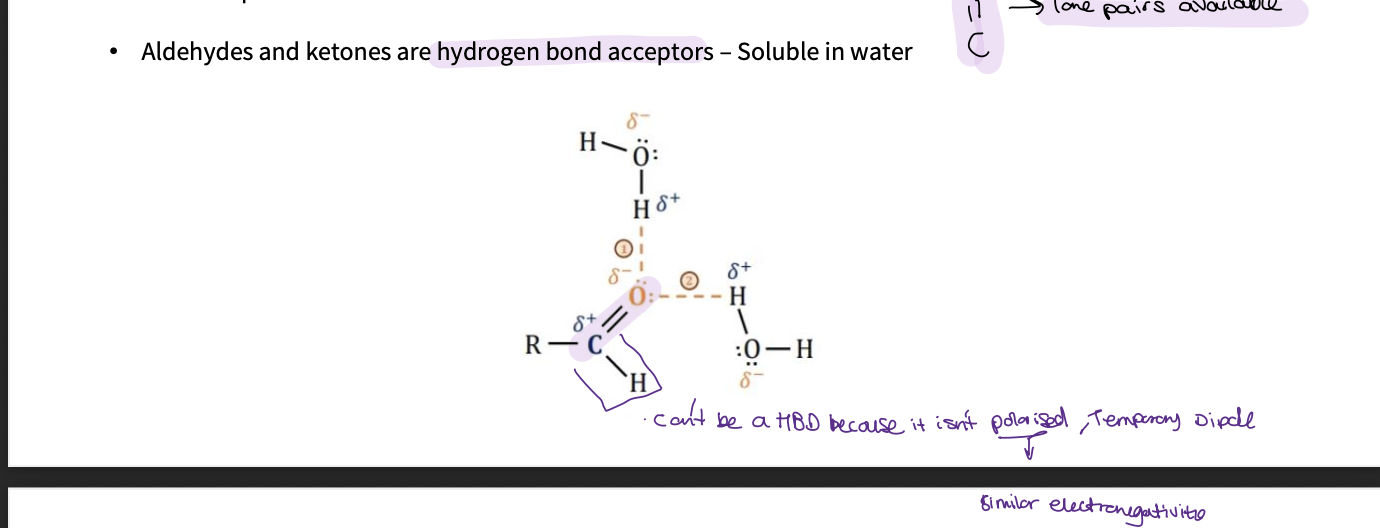 <ul><li><p>they can’t donate a proton </p></li><li><p>the C-H  bond isn’t polarised as the carbon and hydrogen have similar ELECTRONEGATIVITIES - so only temporary induced dipole </p></li><li><p>they are HBA as the 2 lone pairs on oxygen is available - this makes them soluble in water </p></li></ul><p></p>