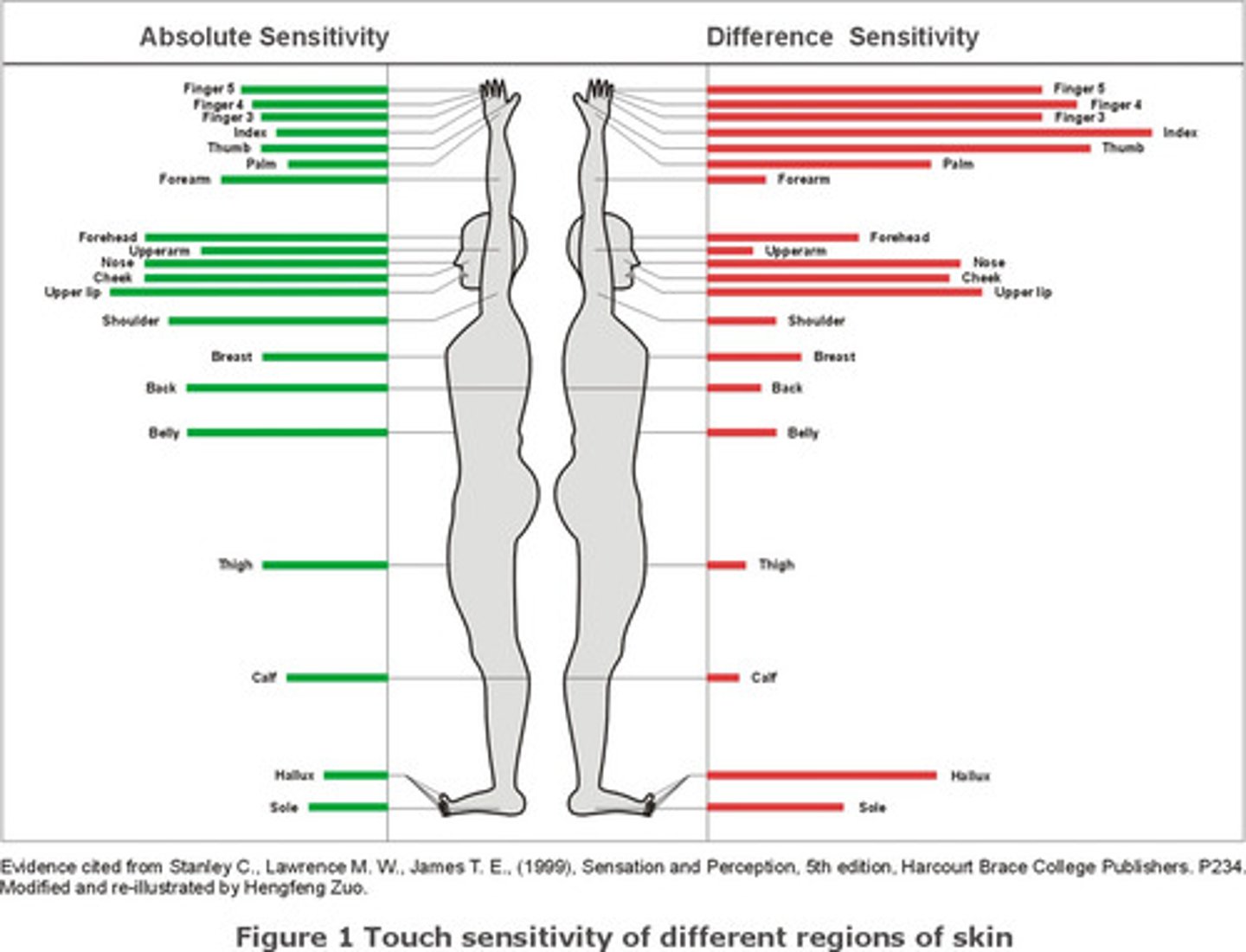 <p>Just Noticeable Difference (JND); the smallest change in stimulation that you can detect 50% of the time; differs from one person to the other</p>