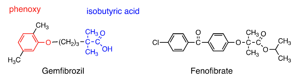 <p>Ester group hydrolyzed to active fenofibric acid.</p>