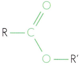 <p>Formula</p>