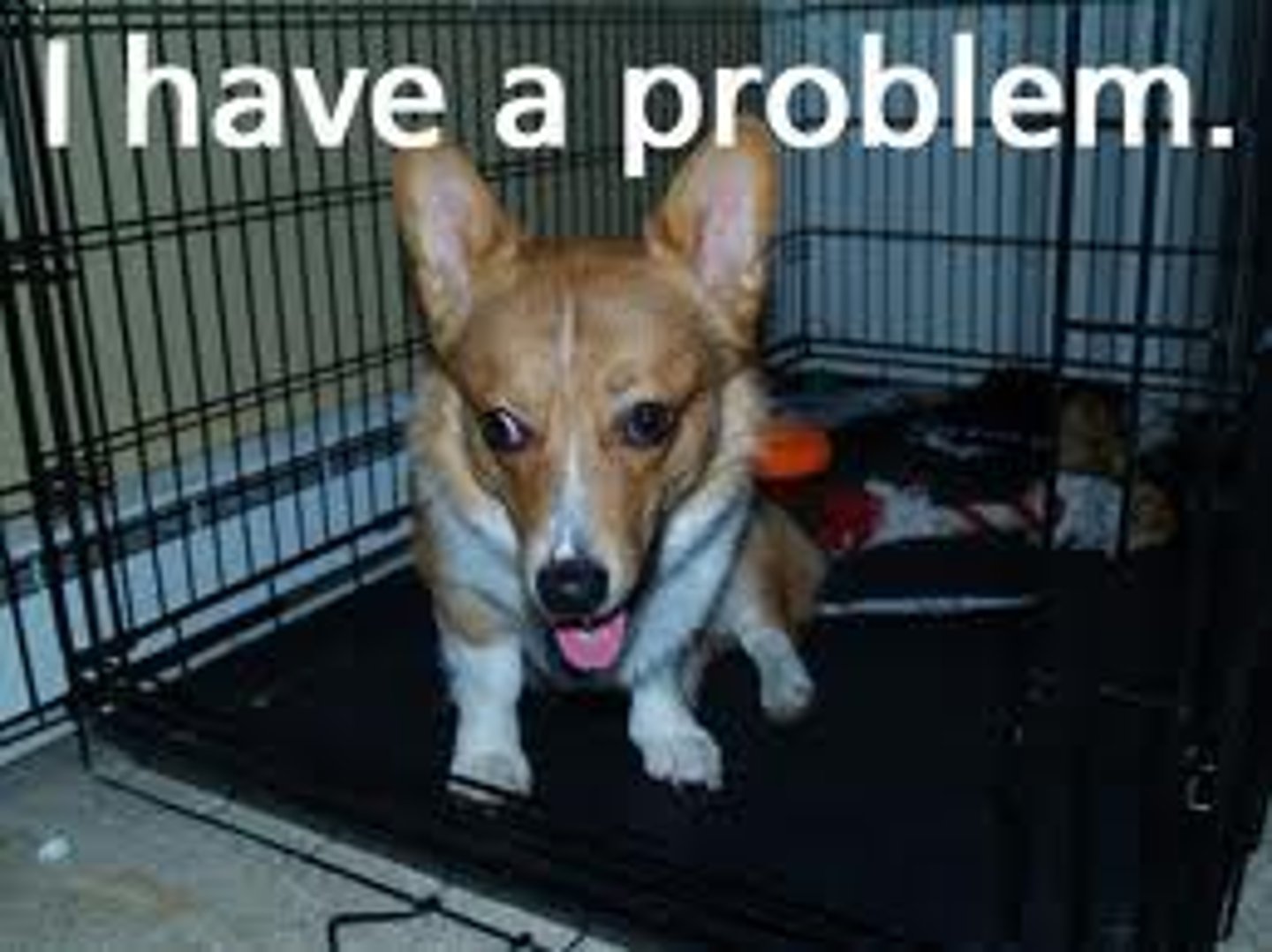 <p>No hay problema</p>