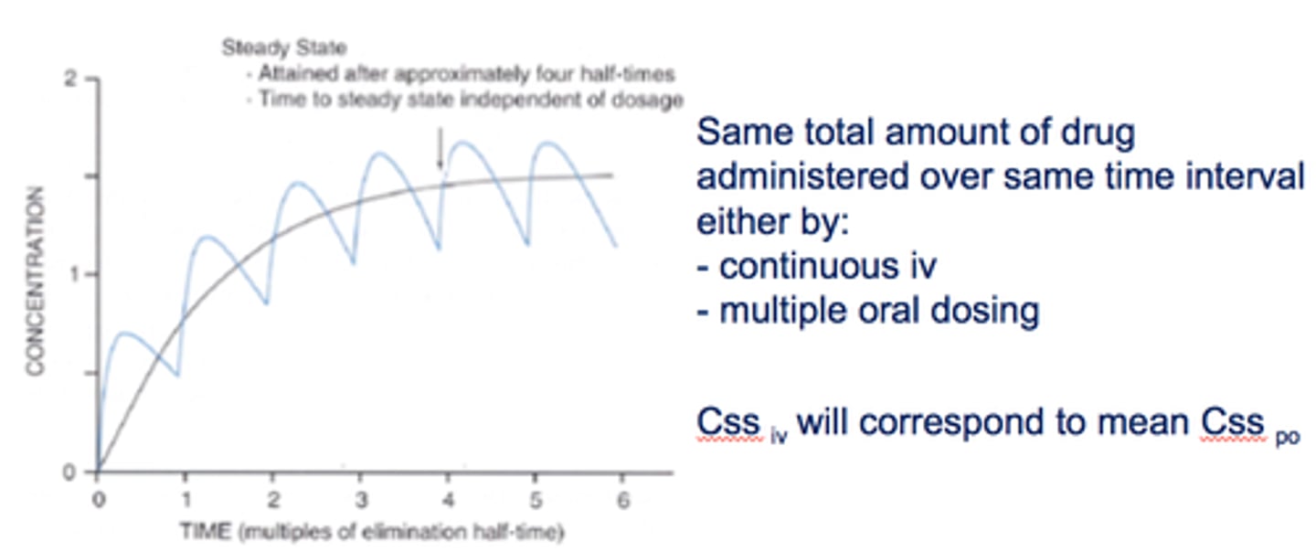 <p>false. time to steady state is always 4 half lives, independent of dosage (this is when drug elimination is equal to absorption)</p>