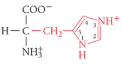 <p>What is the name of the amino acid?</p>