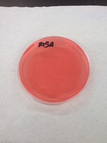 Classification of Mannitol Salt Agar (MSA)