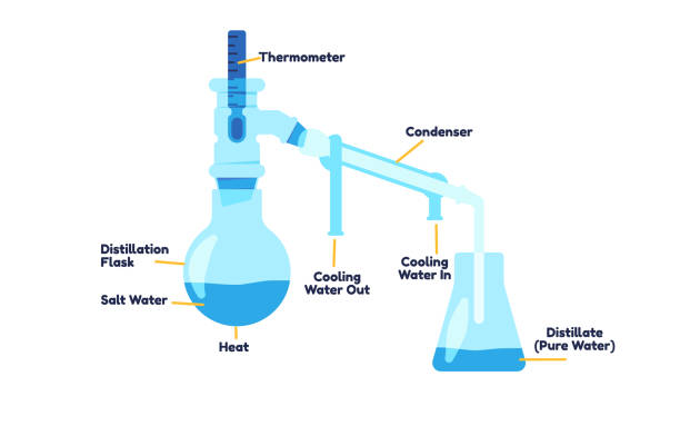 <ol><li><p><strong>Heat</strong> the water until it <strong>boils</strong>.</p></li><li><p>The water <strong>evaporates</strong> (turns into steam), leaving <strong>dissolved salts and impurities</strong> behind.</p></li><li><p>The steam travels through a <strong>cooling tube</strong> (condenser) where it <strong>cools</strong> and <strong>condenses</strong> back into <strong>liquid water</strong>.</p></li><li><p>The <strong>pure distilled water</strong> is collected in a separate container.</p></li></ol><p></p>
