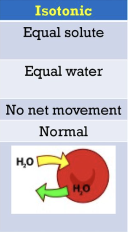 <ul><li><p><span>Concentration of water inside the cell is the same as outside</span></p></li><li><p><span>no net movement of water</span></p></li><li><p><span>cell stays the same</span></p></li></ul><p></p>