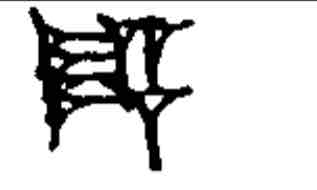 term image