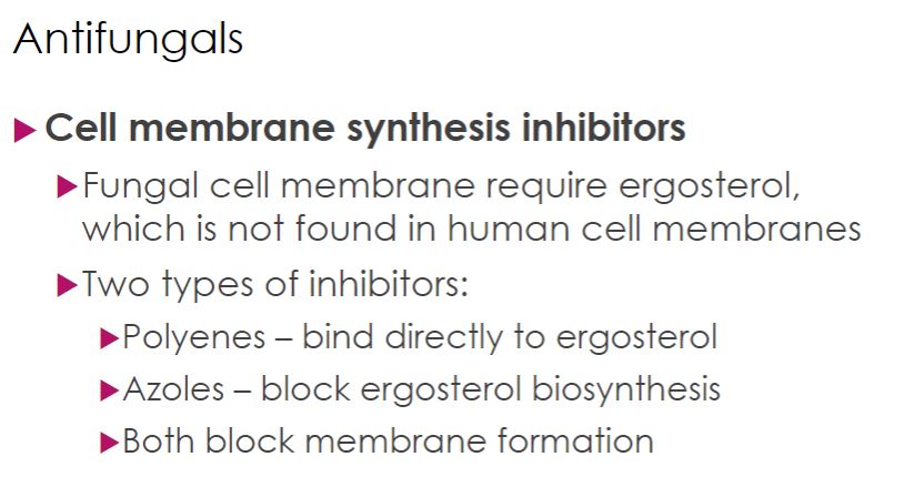 <p>Cell membrane synthesis inhibitors</p>