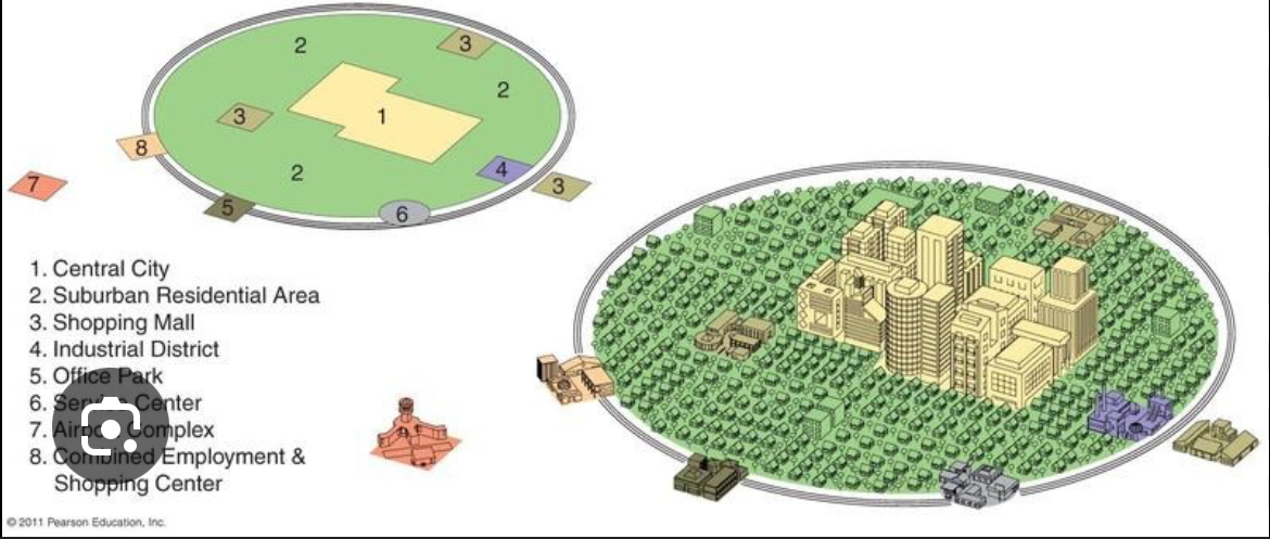 <p>An urban area consists of an inner city surrounded by large suburban residential and service nodes or nuclei tied together by a beltway or ring road.</p>