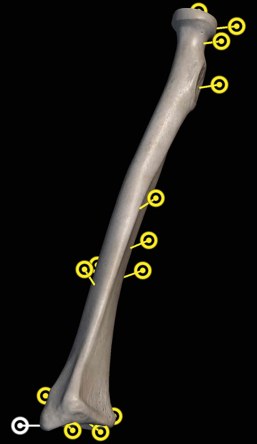 <p>Name structure on radius</p>