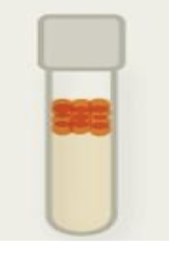 <p>oxygen uses in metabolism : absolute dependence </p><p>can effectively manage reactive oxygen species? yes </p>