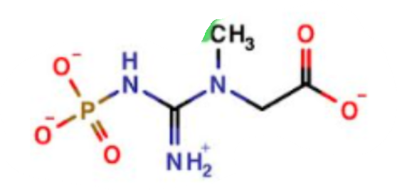 <p>What is this a picture of?</p>