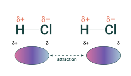 <ul><li><p>present in polar covalent molecules</p></li><li><p>partial positive and partial negative ends always create attractions with other molecules</p></li><li><p>medium force</p></li><li><p>medium melting and boiling points</p></li><li><p>the greater the dipole-moment, the stronger the dipole-dipole forces</p></li></ul>