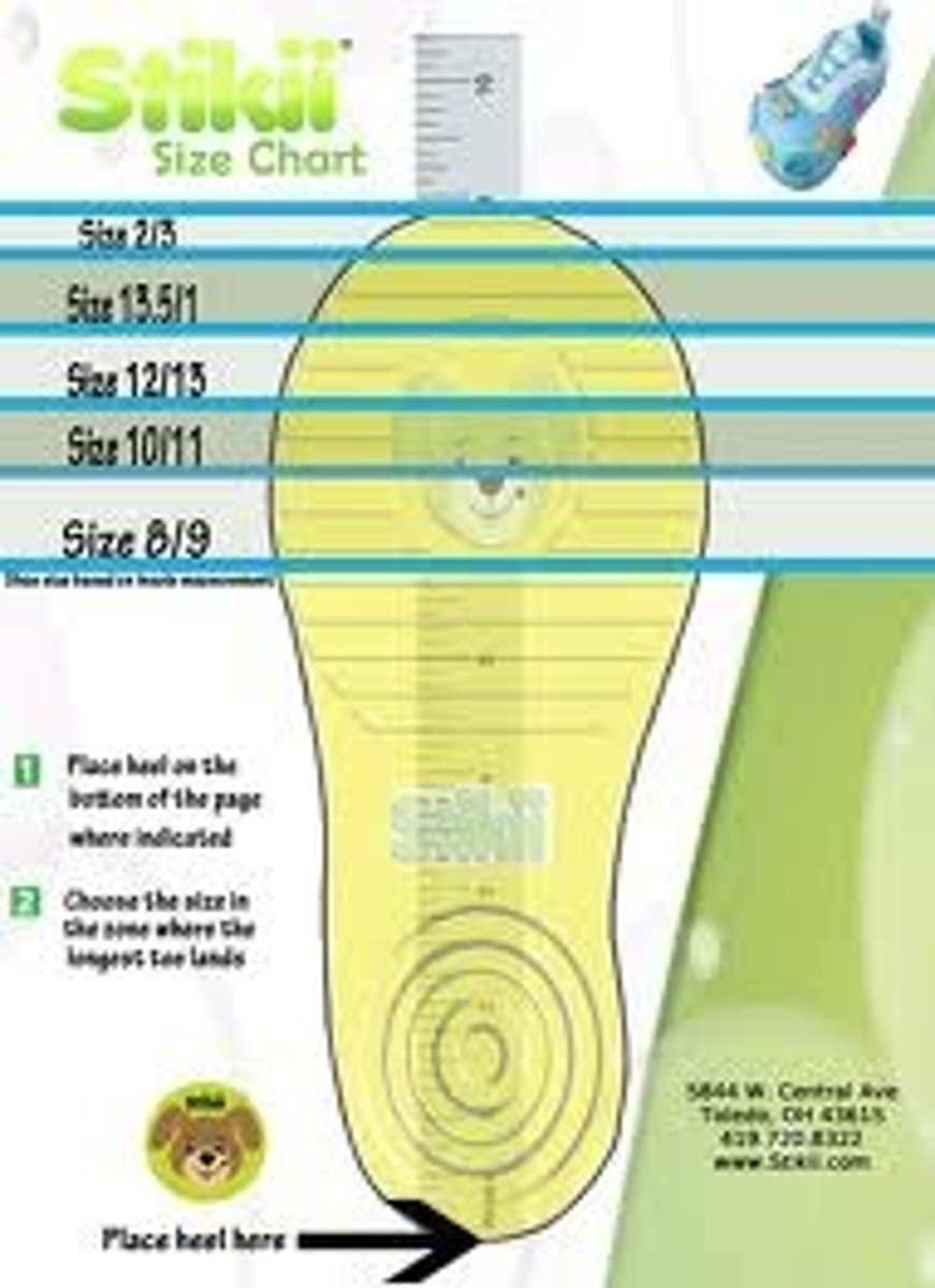 <p>shoe size</p>