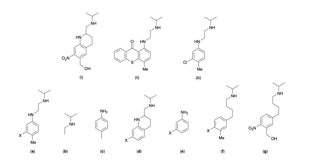 Molecules (i)-(iii) are active anti-parasitic drugs. Which of the following (a)-(g) represents the most likely active pharmacophore for (i)-(iii)?

(a)

(b)

(c)

(d)

(e)

(f)

(g)