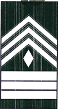 <p>1SG</p>