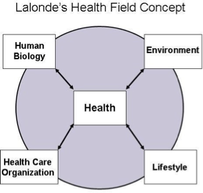 <ul><li><p><strong>Health risk behavior</strong></p></li><li><p><strong>Health promoting behavior </strong></p></li></ul><p></p>