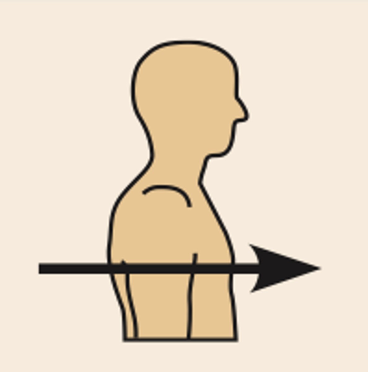 <p>toward or at the front of the body; in front of</p>