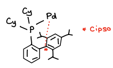 <p>XPhos (PCy<sub>3</sub>) must be used for catalysts when R-X contains a Cl.</p><ul><li><p>The C-Cl bond is too strong, XPhos activates the C-Cl bond allowing the catalyst to react with it.</p></li><li><p>There is a C<sub>ipso</sub>-Pd interaction that activates the C-Cl bond.</p></li></ul><p></p>