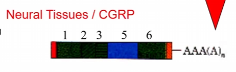 <p>b)</p>