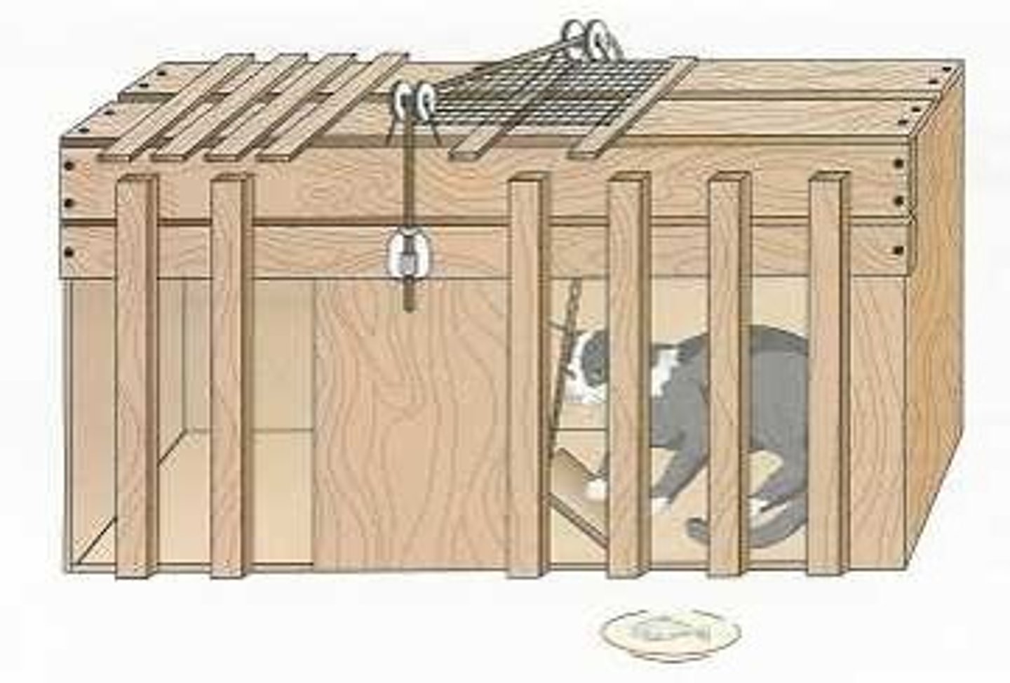 <p>Developed term "law of effect" proving that reward behavior is likely to occur again by using cats and having them escape his puzzle boxes.</p>