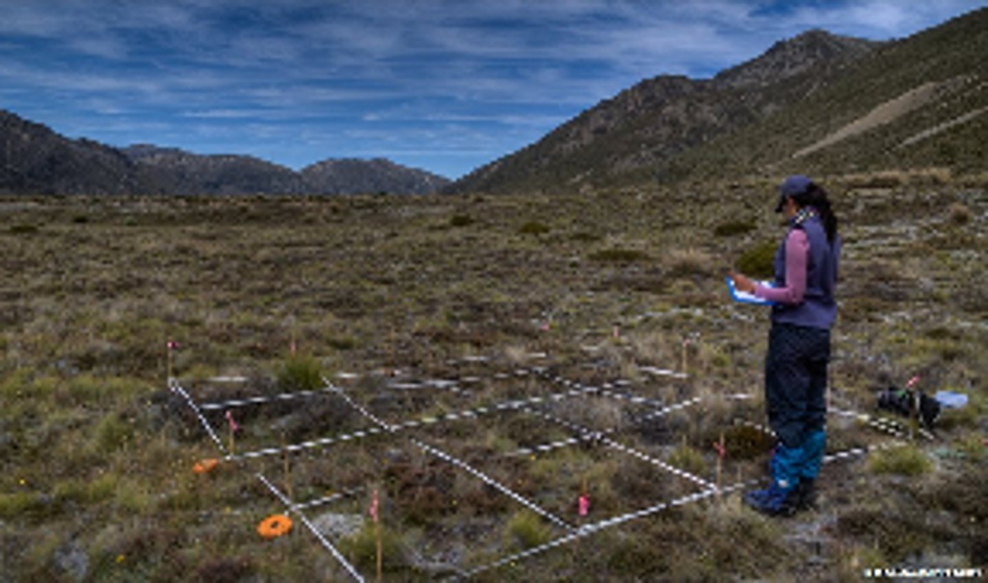 <p>Study of interactions among living things and their environment.</p>