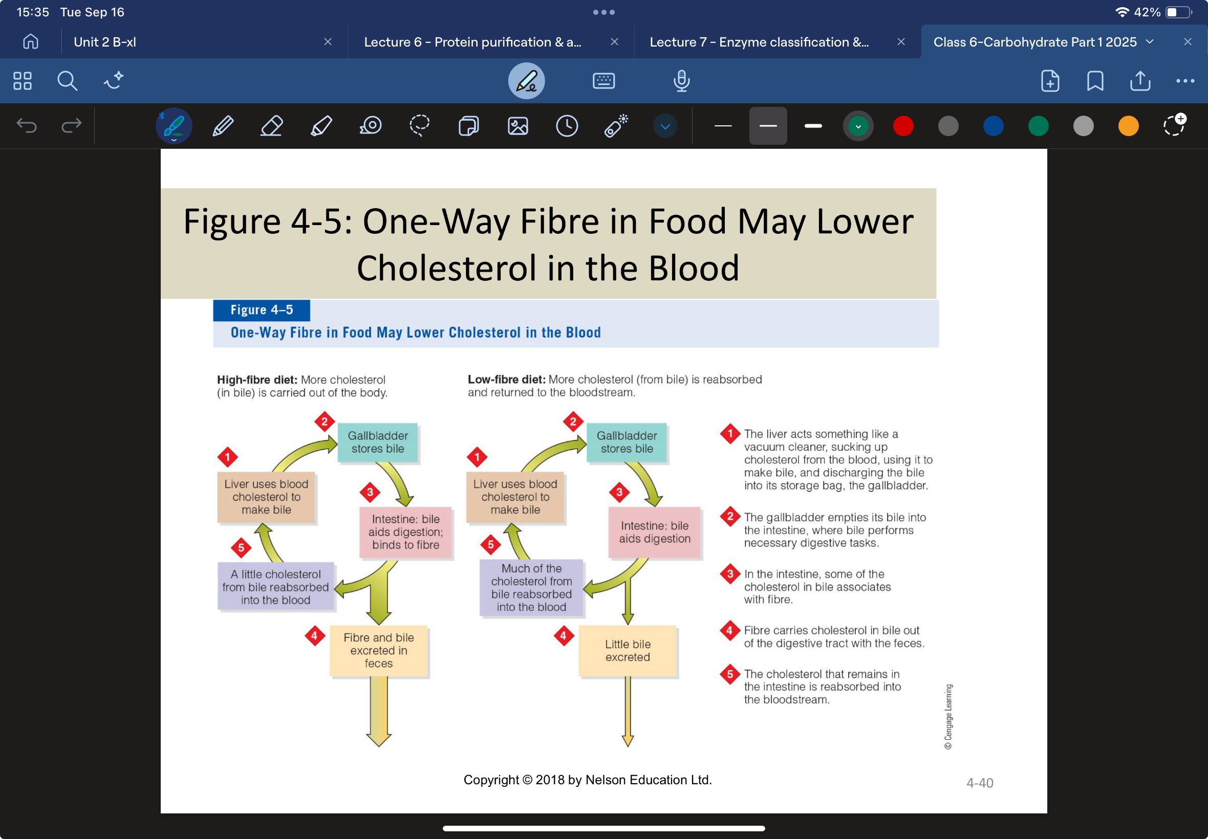 knowt flashcard image