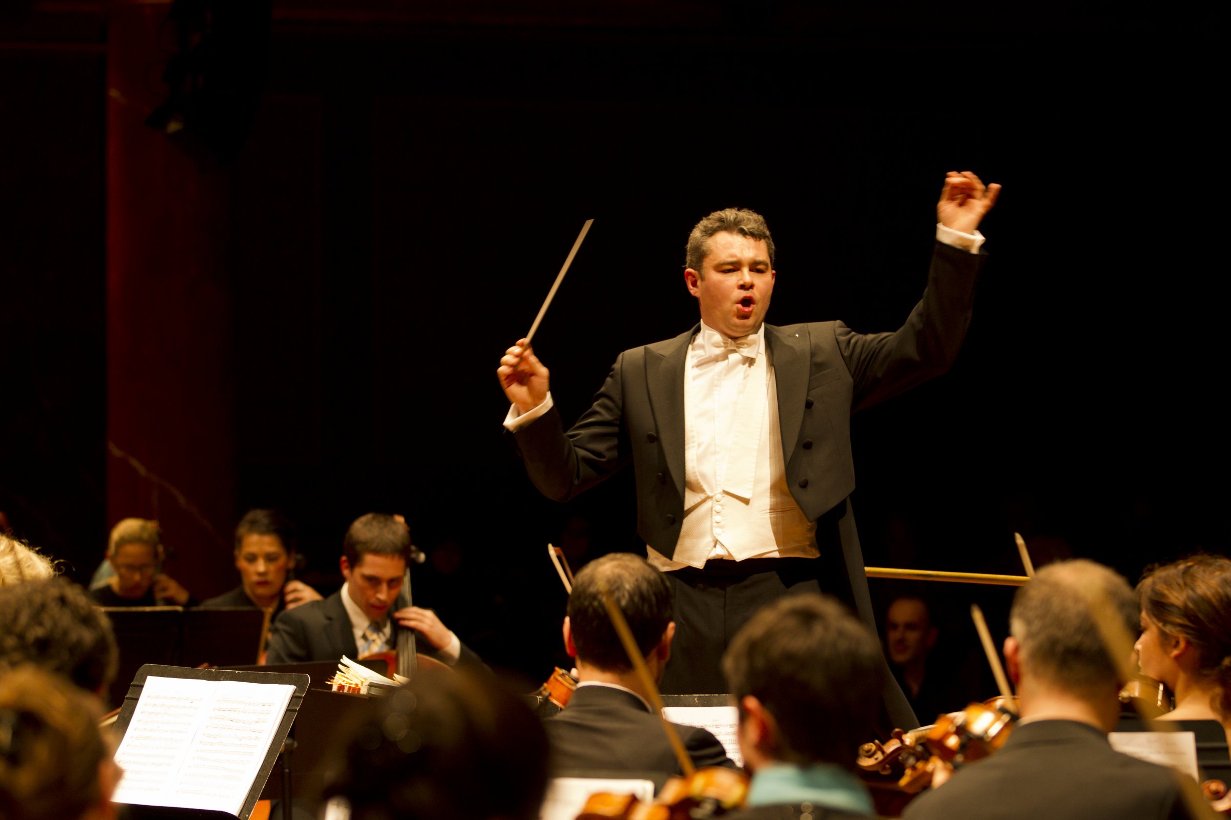 <p>дирижёр </p>