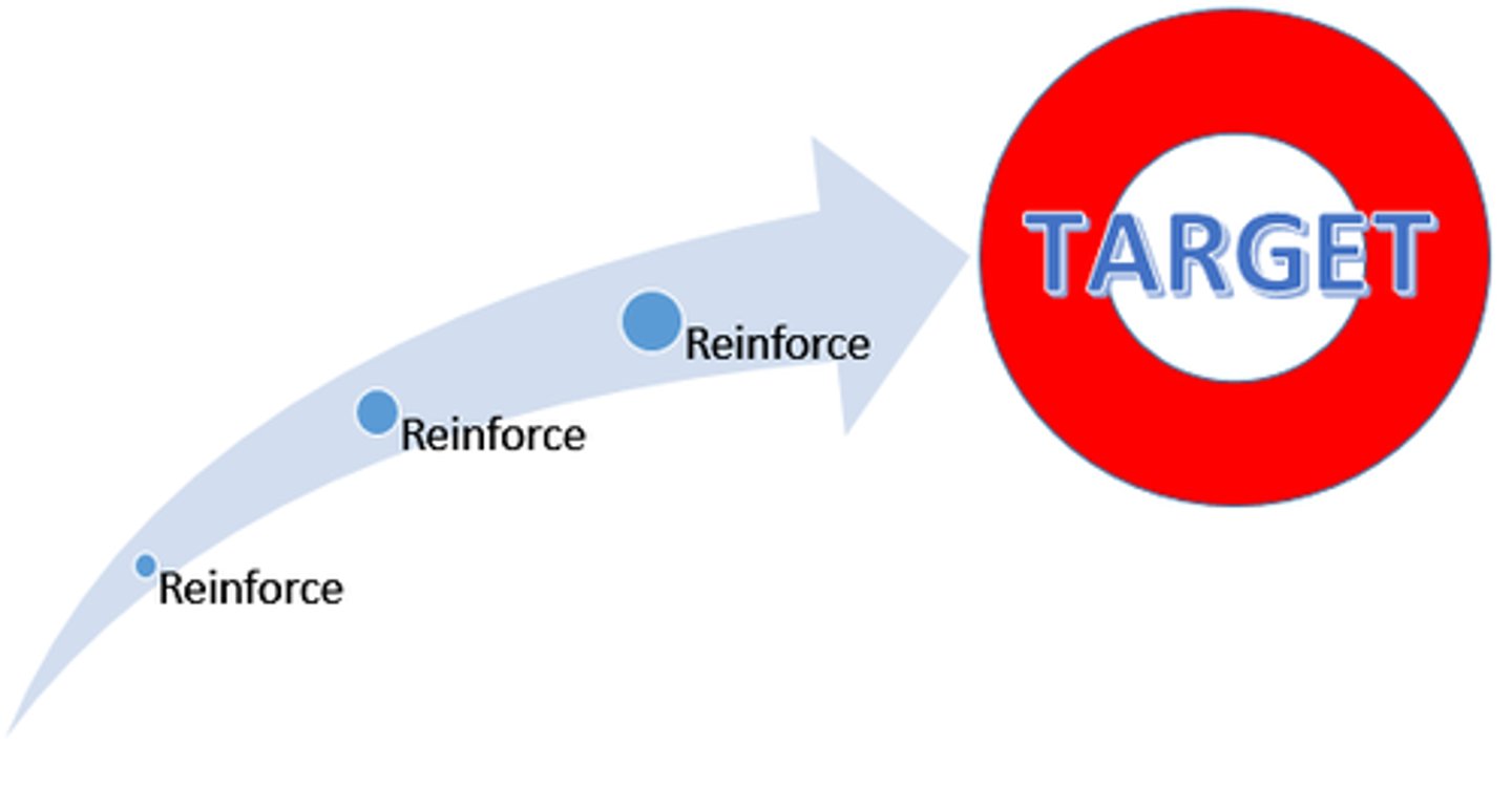 <p>You would reward your dog for each successive good step in the right direction. For instance, first reward him for getting up on two feet. Then reward him for falling backwards. Then reward him for the attempt at a flip, and finally reward him for the full, successful flip.</p>