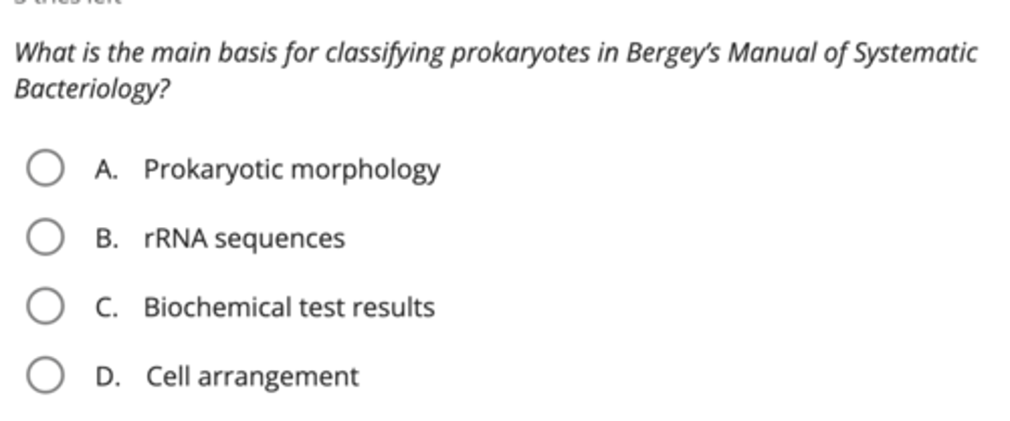 MCB Ch. 11 Characterizing And Classifying Prokaryotes Flashcards | Knowt