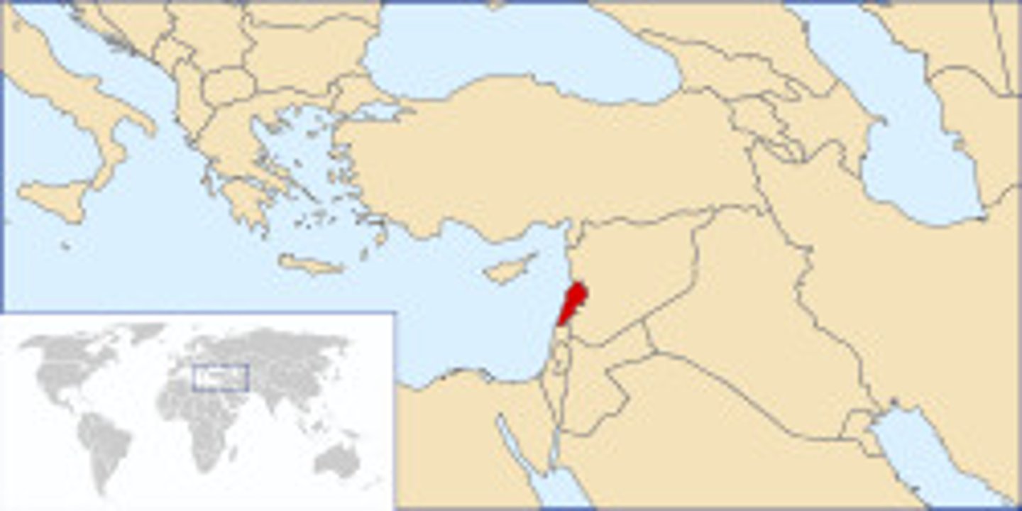 <p>Often worked as "peddlers" in North and South America. Returned to Lebanon periodically.</p>