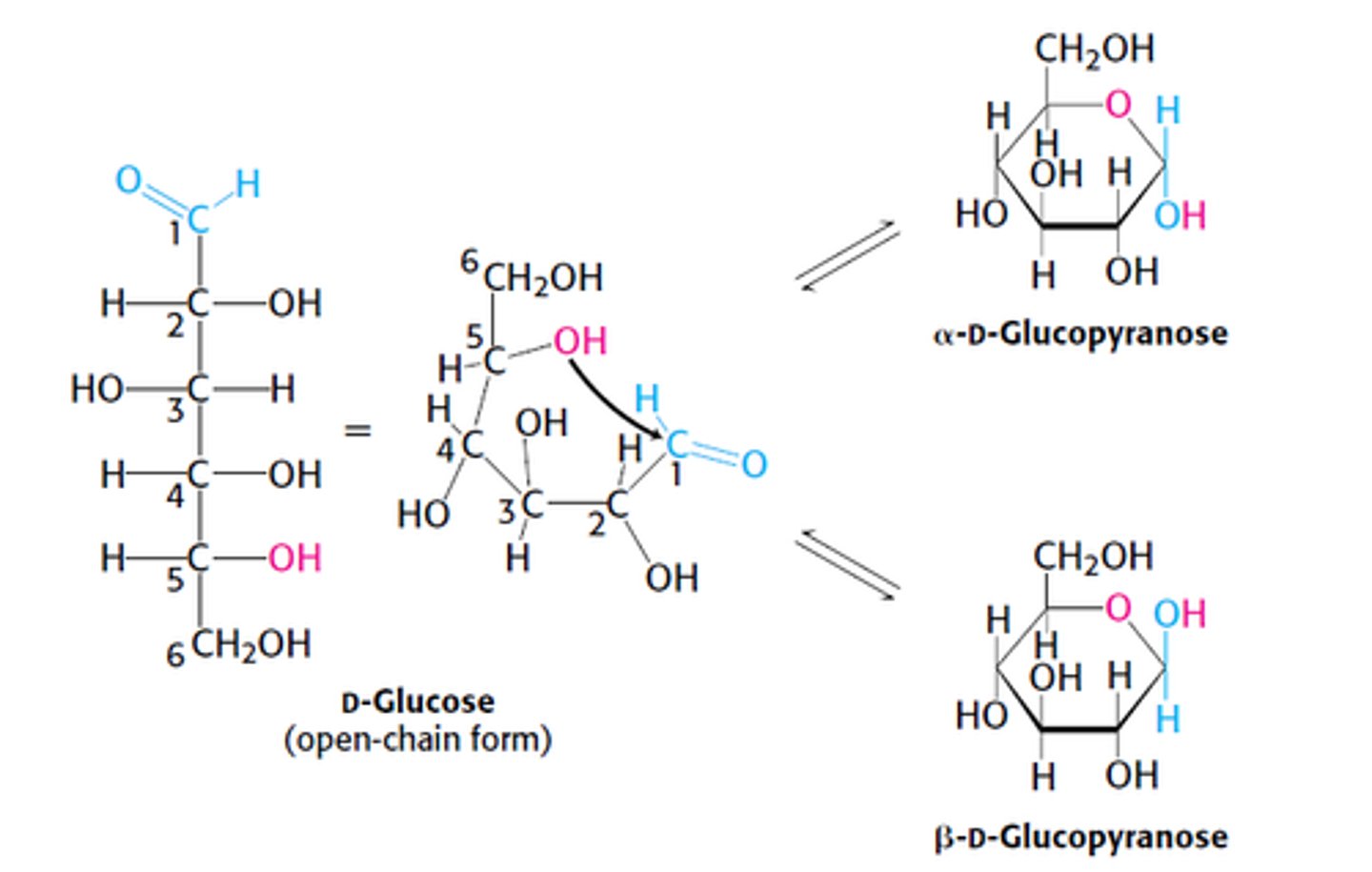 <p>C1 becomes an asymmetric center resulting in 2 ring structures: α-D-glucopyranose and β-D-glucopyranose</p>