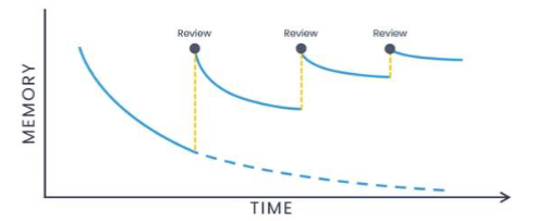 <ul><li><p>way to optimize memory</p></li><li><p>forgetting is reduced when learning is spread over time</p><ul><li><p>repeated information is more valuable and stored more strongly in memory</p></li></ul></li></ul><p></p>