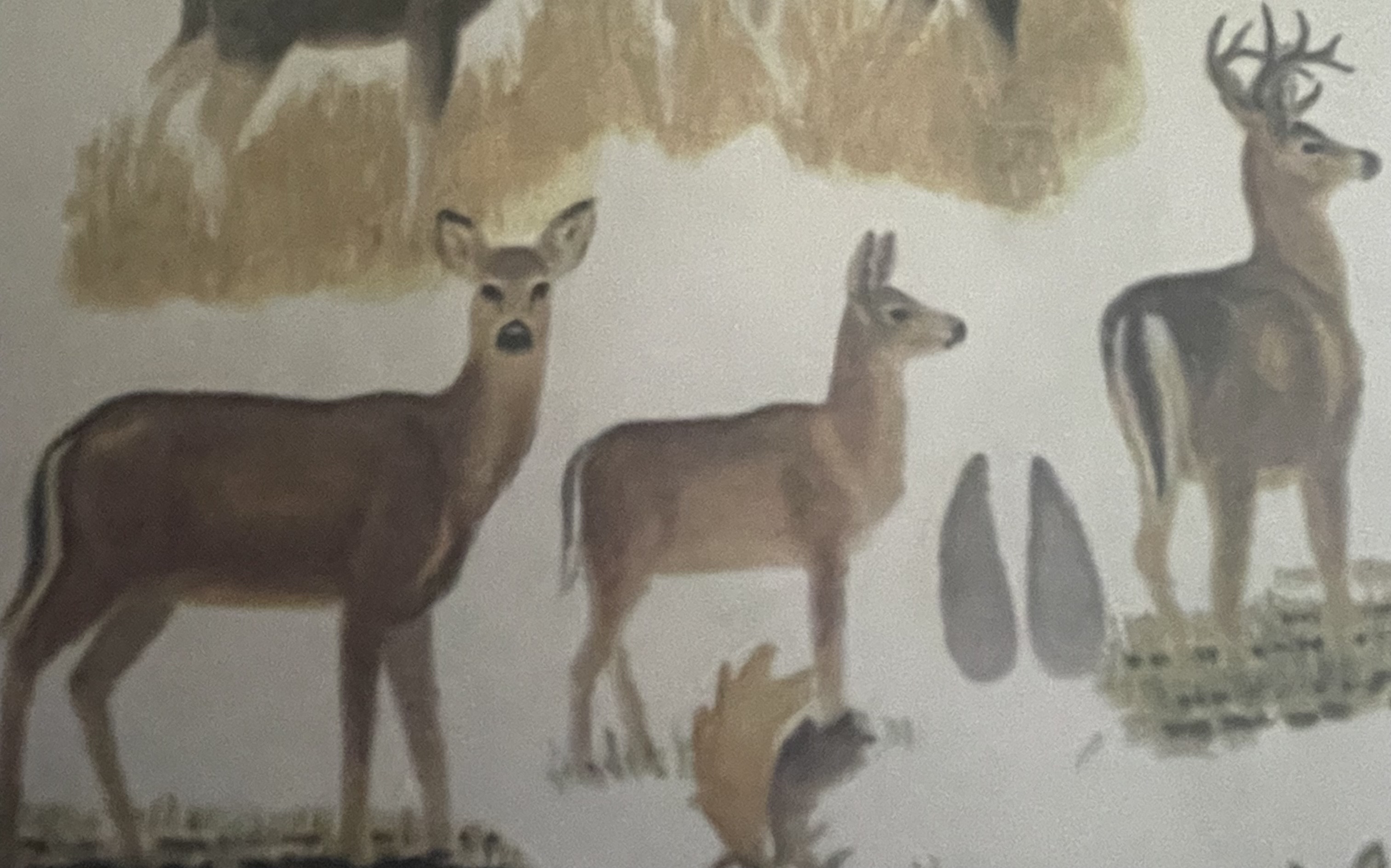 <p>mikä eläin</p>