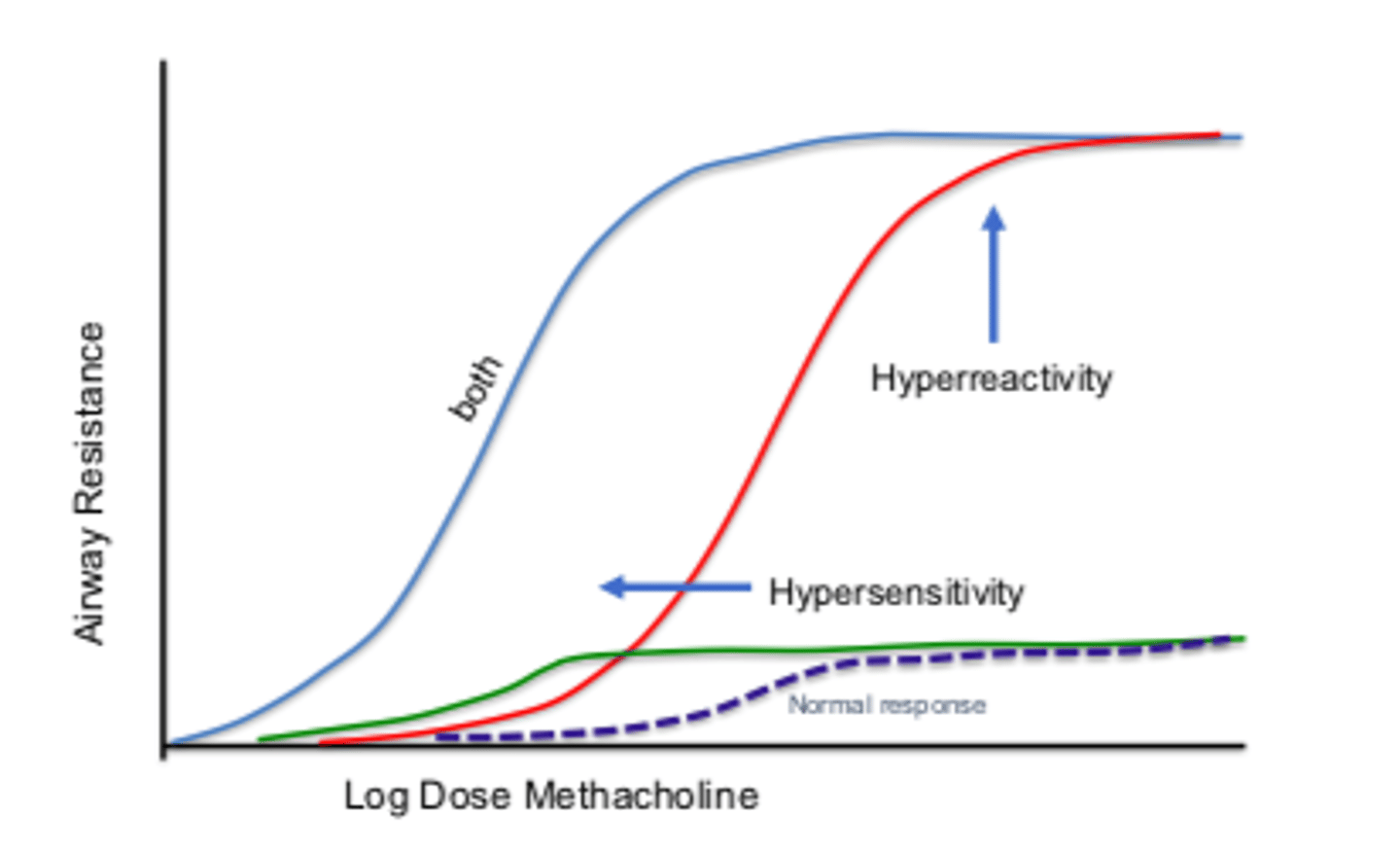 <p>Non-asthmatics:</p><p>low-level response to stimulus that produces mild, if any, bronchonstriction at normal to high doses (normal response)</p><p>Asthmatics: hypersensitivity: normal response to abnormally low stimulus dose (leftward shift)</p><p>hyperreactivity: exaggerated response to normal-high stimulus dose (upward shift)</p>