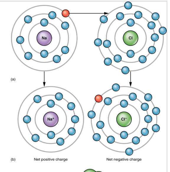 <p>The ongoing close association between ions of opposite charge (give electron away)</p>