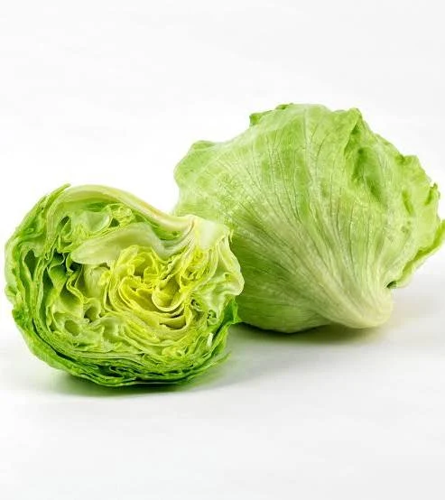 <p>La lechuga</p><p><span style="background-color: oklch(0.9902 0.004 106.470001); color: oklch(0.3039 0.04 213.679993 / 0.75);"><span>De niño, tuve una mala experiencia con la lechuga.</span></span></p>