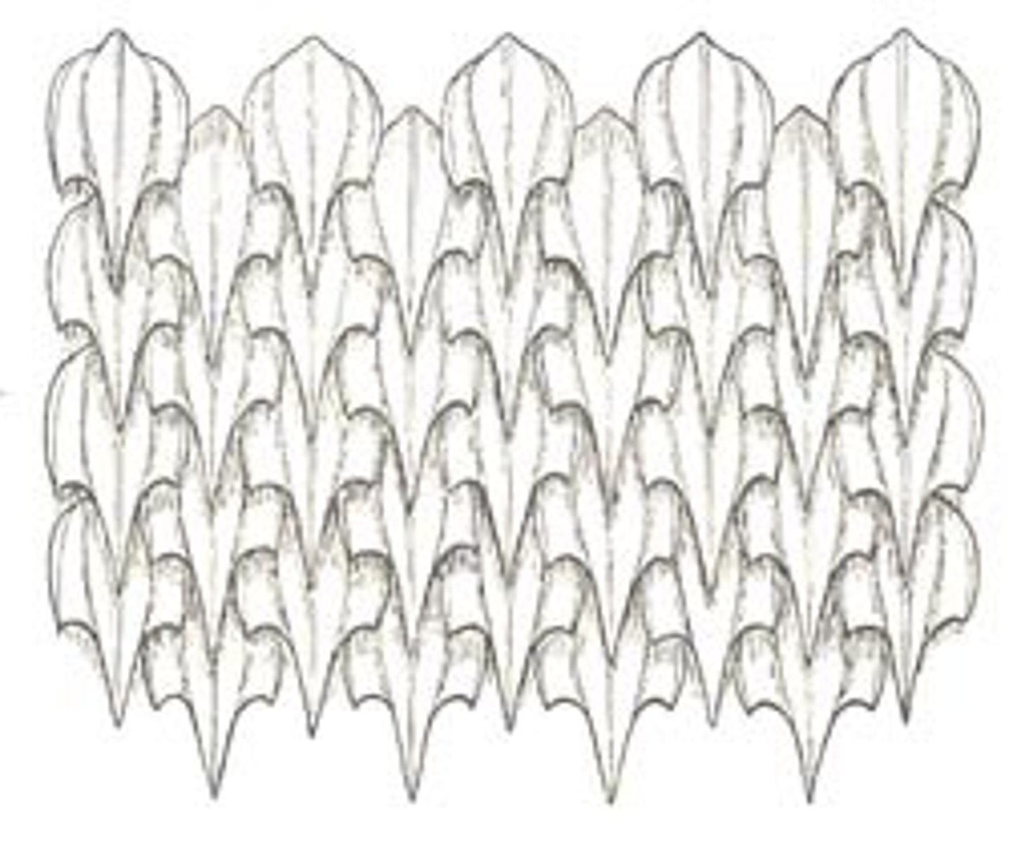 <p>small, tooth-like spines that make up a shark's skin</p><p>-"dermal denticles"</p><p>-do not increase with size only new ones added</p><p>-reduces drag</p>